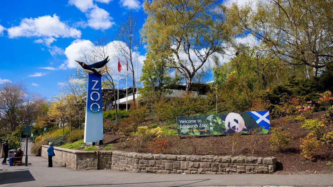 Zoológico de Edimburgo